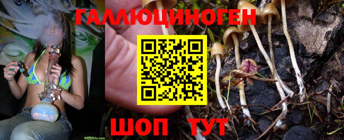 Галлюциногенные грибы Psilocybine cubensis  купить закладку  Лянтор  Вход с VPN 